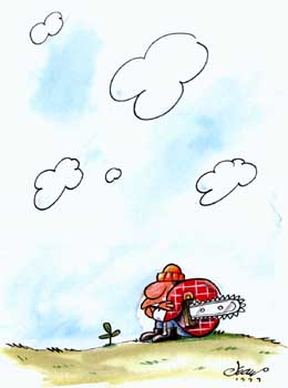 Jean - Brasile