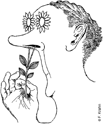 Krahn